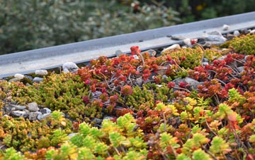 the cost of Bridge Street green roof installation