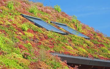 Bridge Street living roof systems