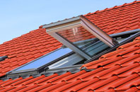 Bridge Street roof window